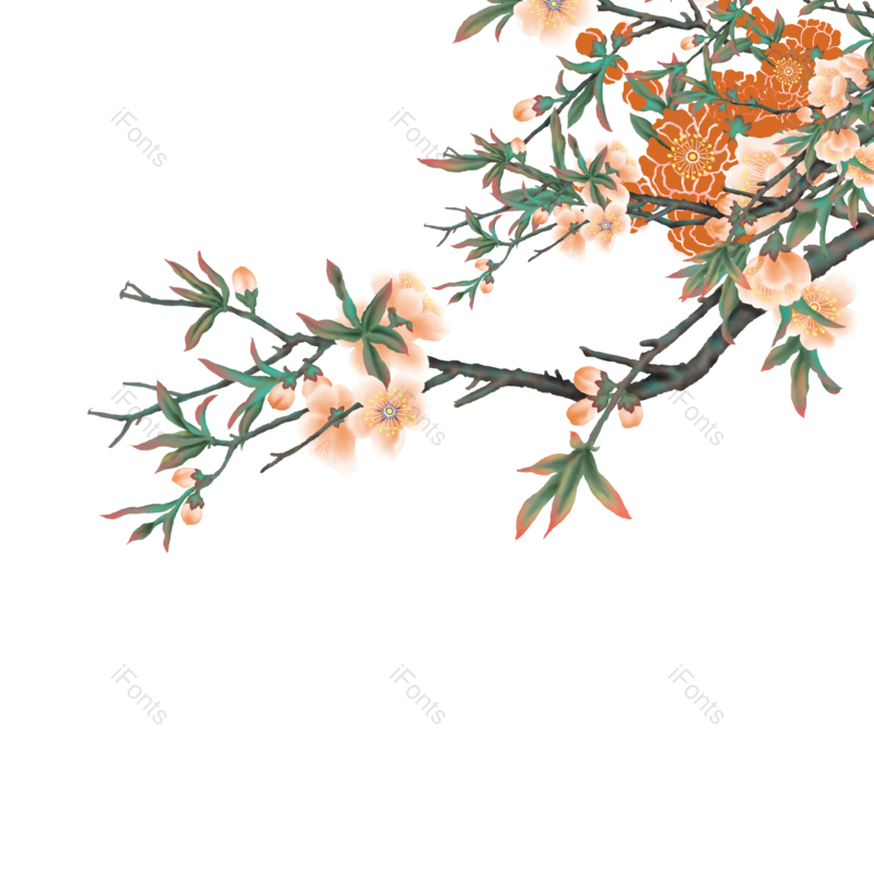 插画图片,植物素材元素,插画素材PNG,工笔画免抠素材